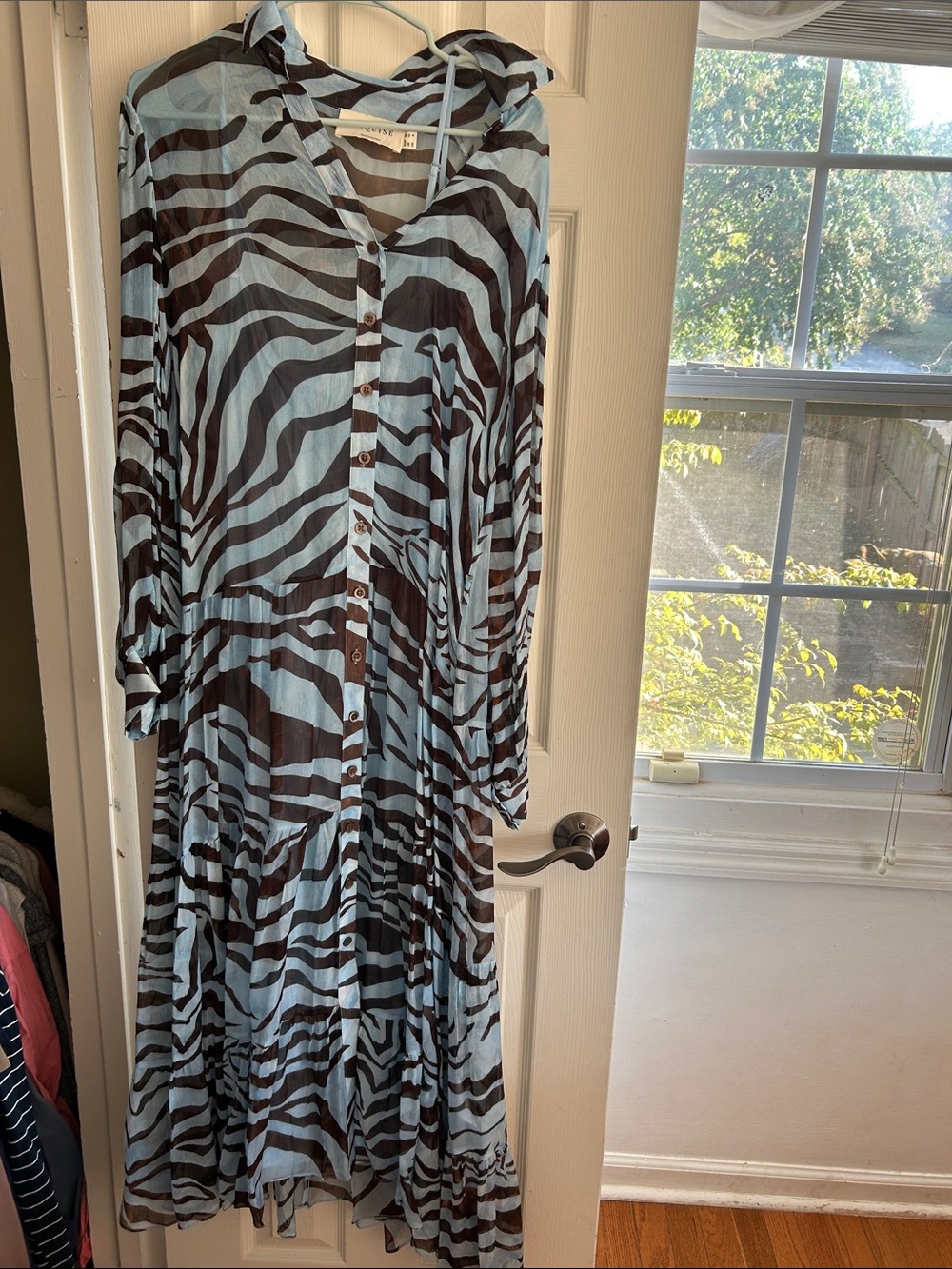 Light Blue & Black Zebra Print Maxi Dress - Button-Front